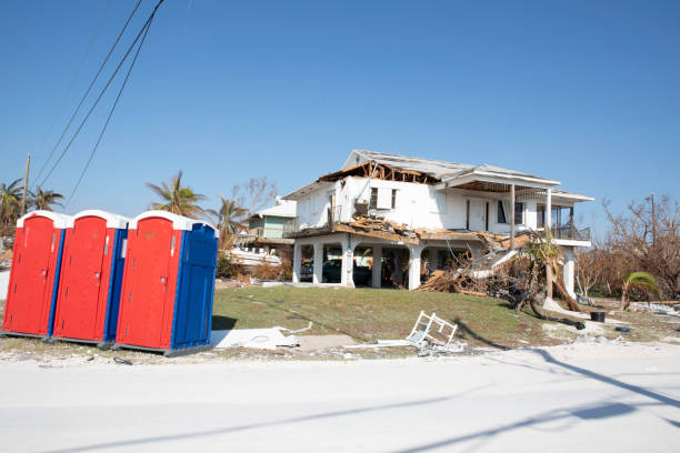 How Our Tree Care Process Works  in  Elk River, MN